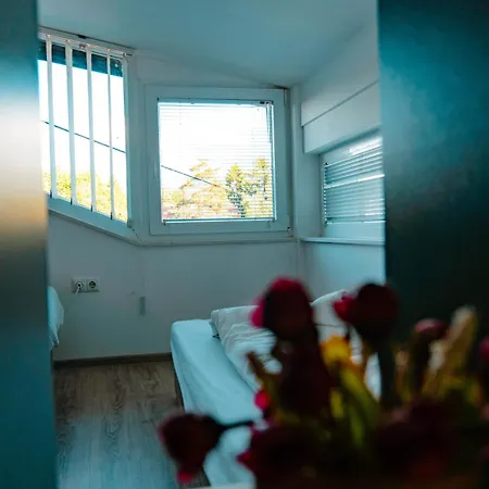 Deluxe Apartment *